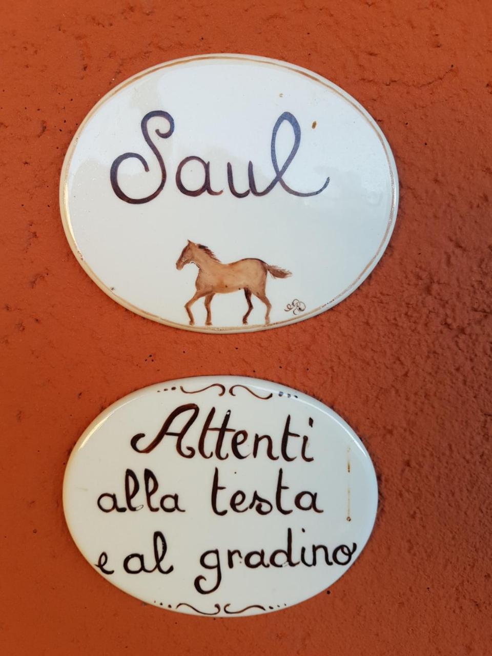 B&B La Cascina Di Monia E Mario Borgo Ticino Exteriér fotografie